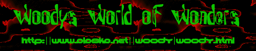 Woody's World of Wonders