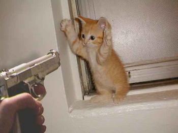 Stick 'em up!