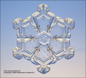 A single snowflake