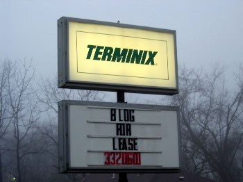 Blog For Lease