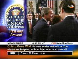 Chimp Gone Wild