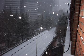 2004/01/graphics/seattlesnow_1