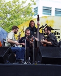 The Foghorn String Band