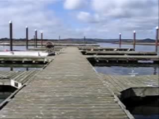 2MB QT .mov