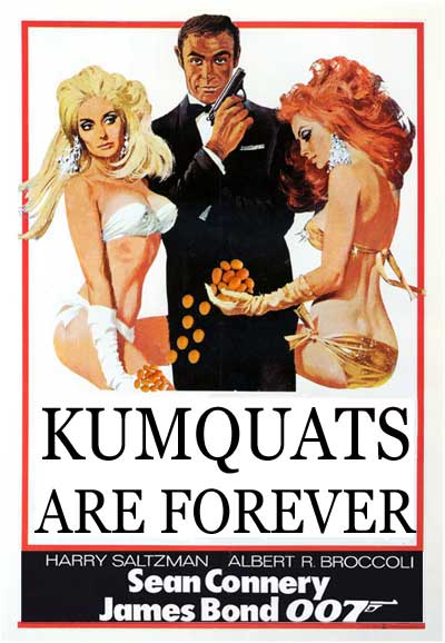 Kumquats are Forever