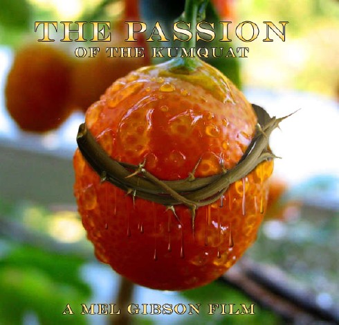 The Passion of the Kumquat