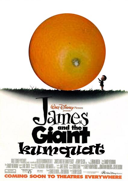 James and the Giant Kumquat