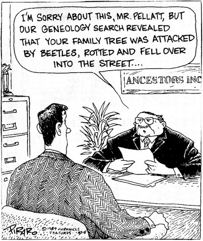 'I'm sorry about this, Mr. Pellatt, but our geneology search revealed that your family tree was attacked by beetles, rotted and fell over in the street...' (c)1989 Dan Piraro