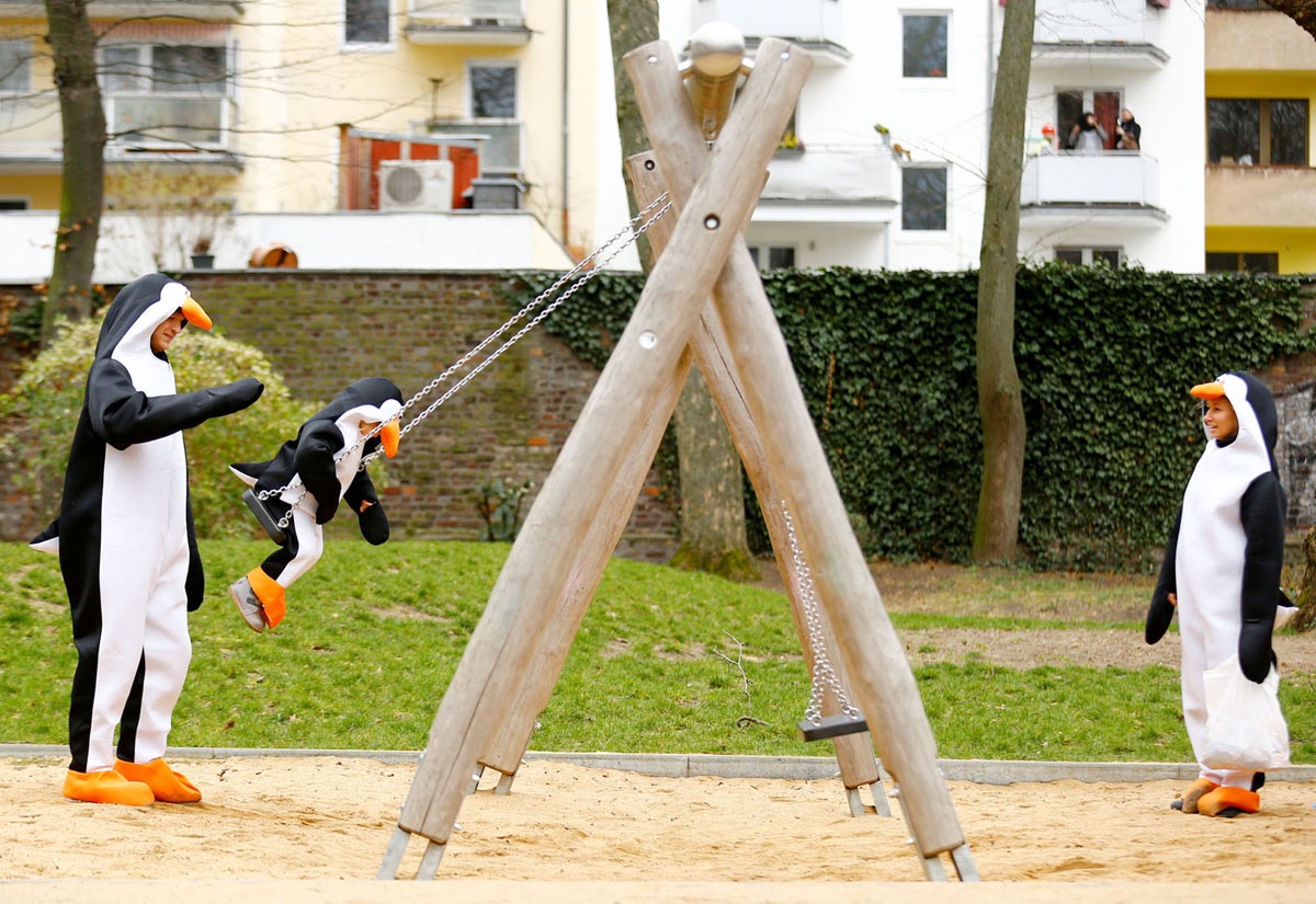 Penguins at play