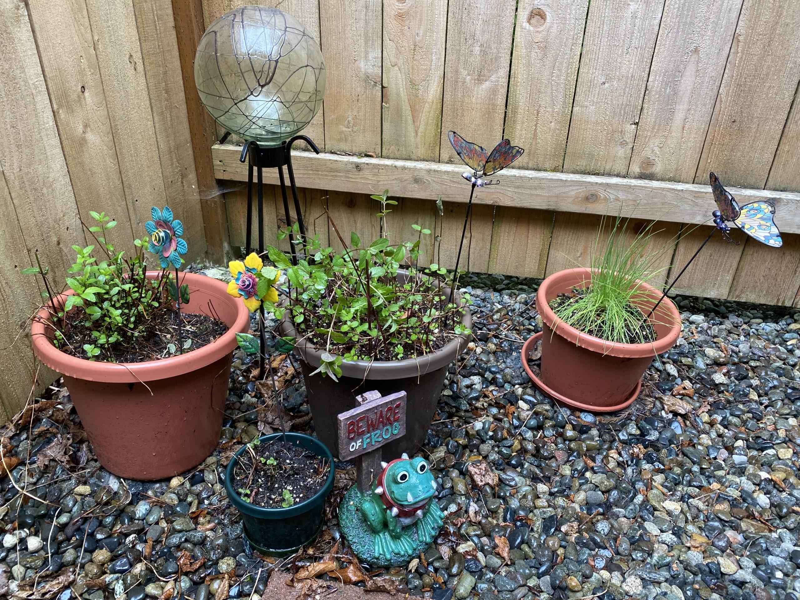 One corner of the backyard space. The ground is covered with gravel. There are three flowerpots of various sizes in front of a decorative glass ball on a stand. In front of the pots is a small garden statue of a frog with fangs and wearing a spiked collar in front of a sign that says 'beware of frog'.