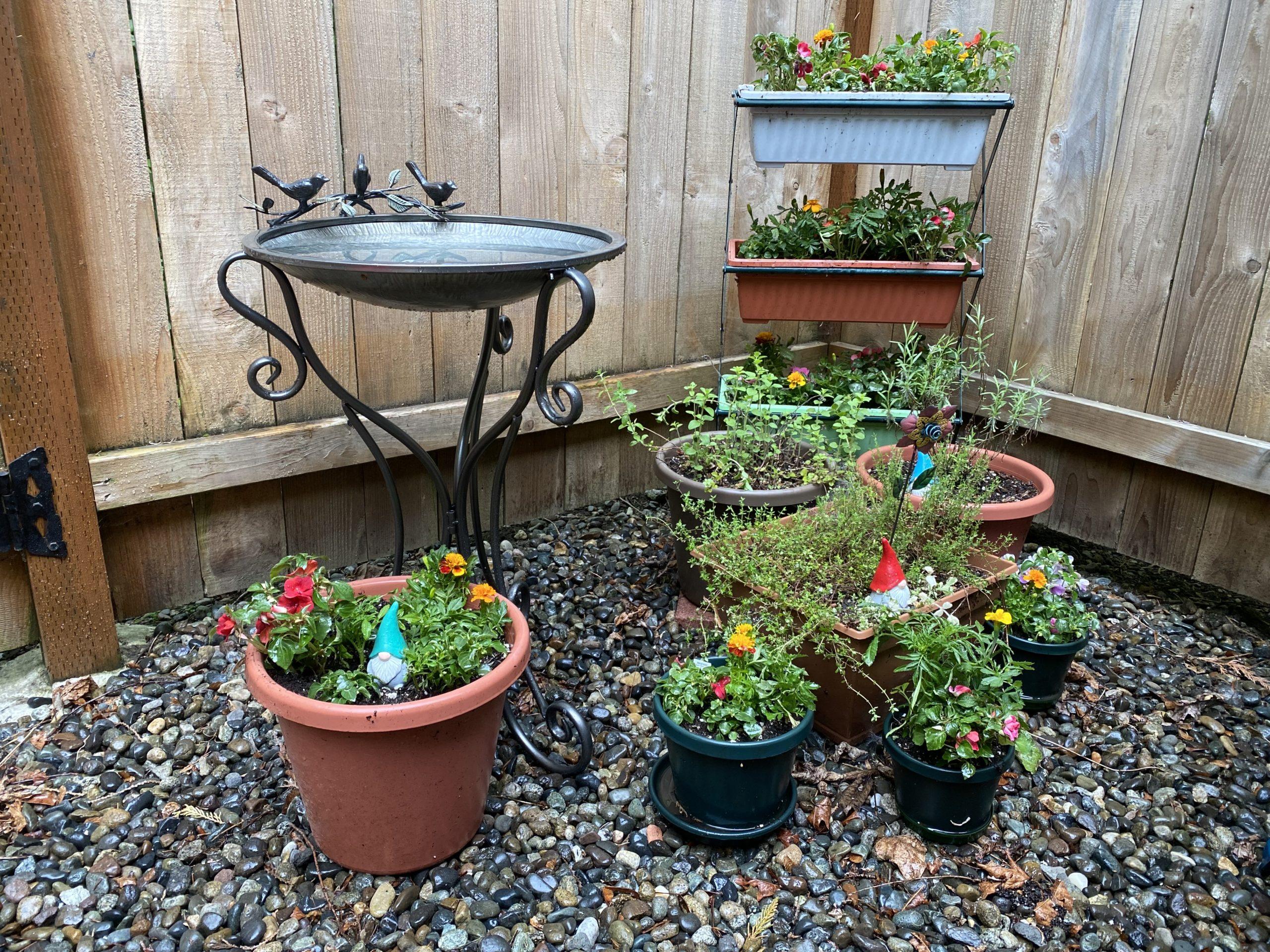 Another corner of the backyard space. A group of planters and flowerpots are in front of and arround a metal birdbath with thre sculpted birds along the rim. Three small garden gnomes sit in three of the flower pots.