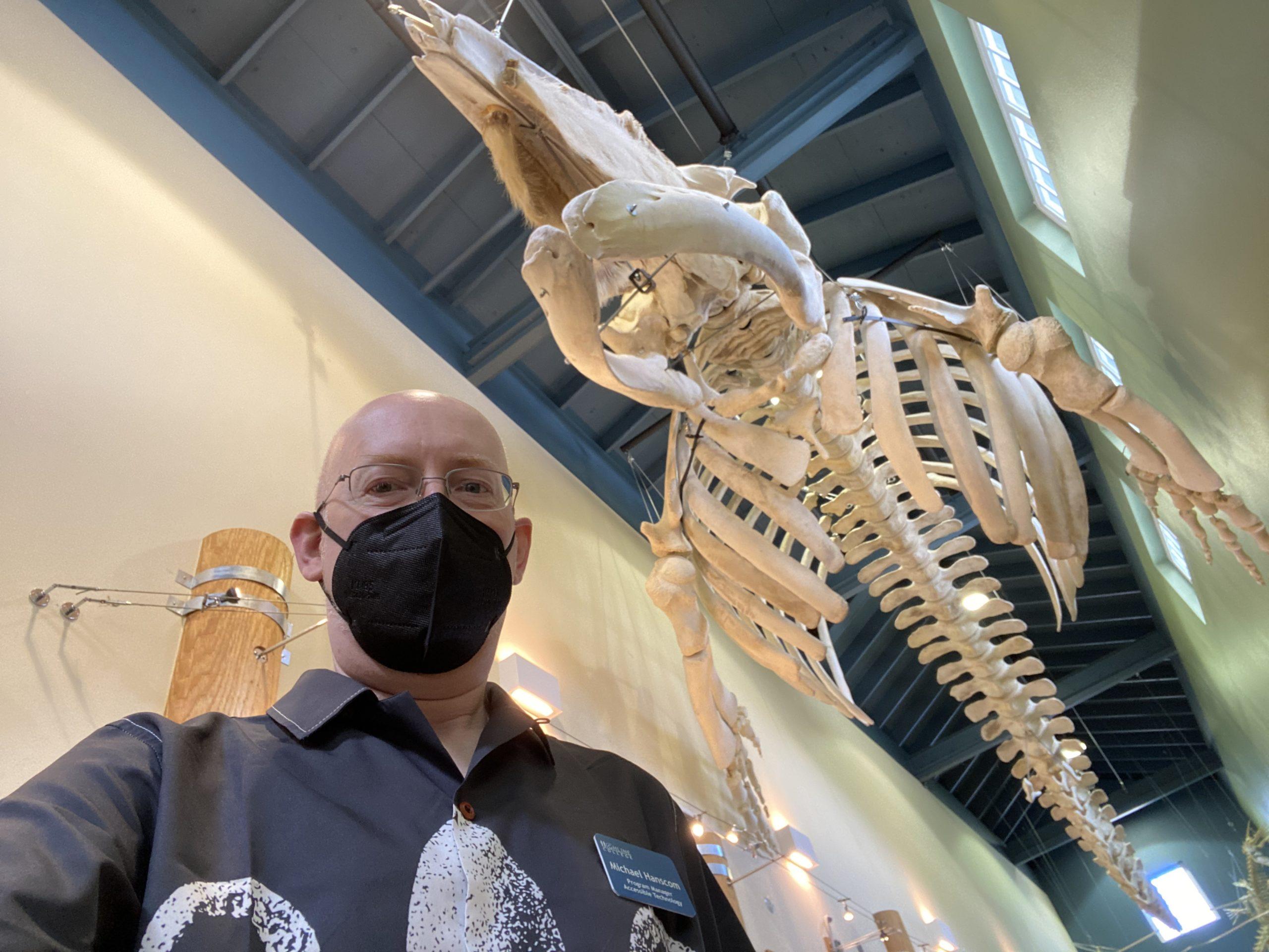 Me standing underneath a grey whale skeleton suspended from the ceiling of the MaST center.