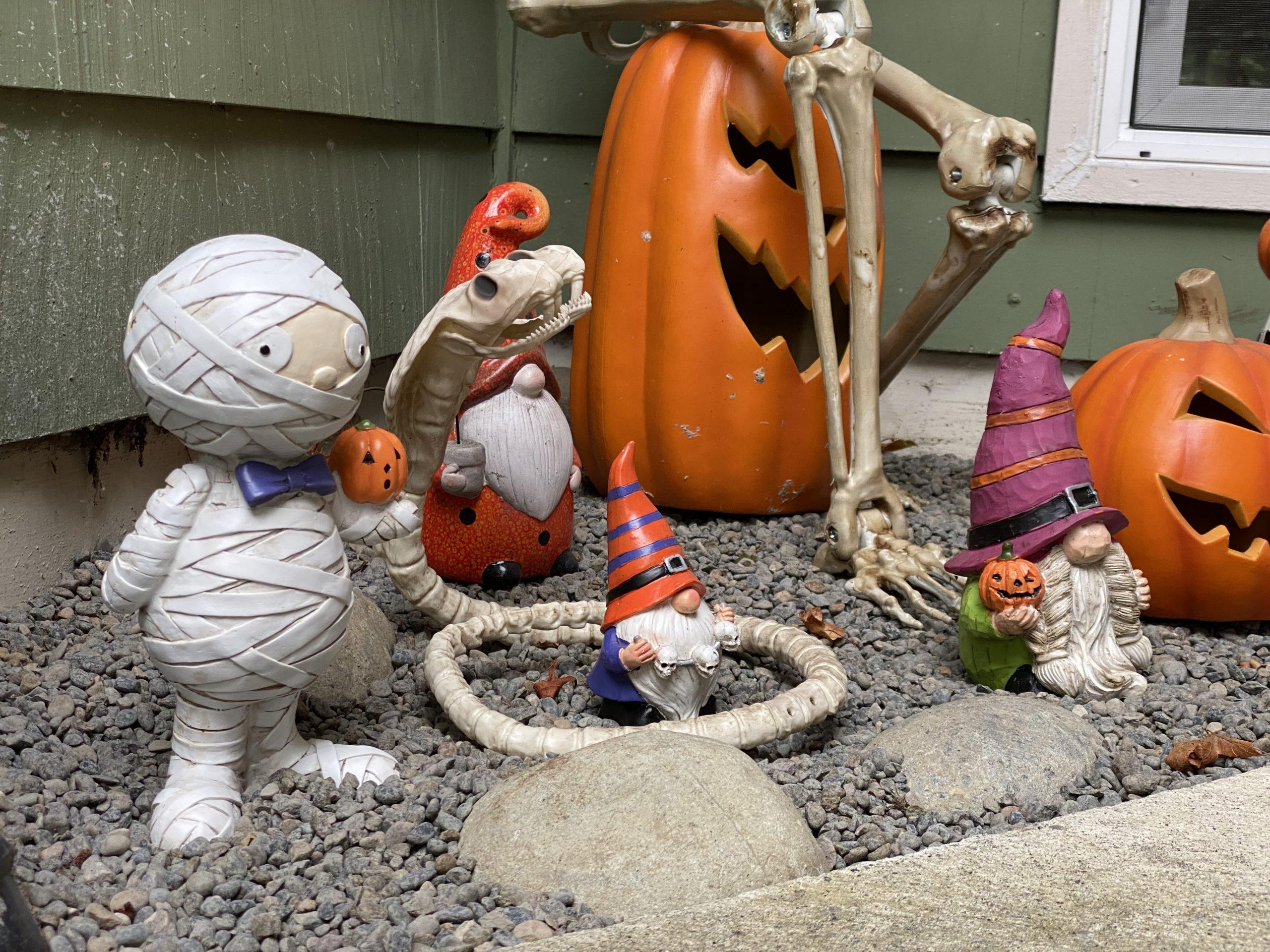 A section of our decorations, including an anotomically improbable two-headed snake skeleton, a figurine of a mummy wearing a blue bow tie, and two small gnomes holding pumpkins and skulls.