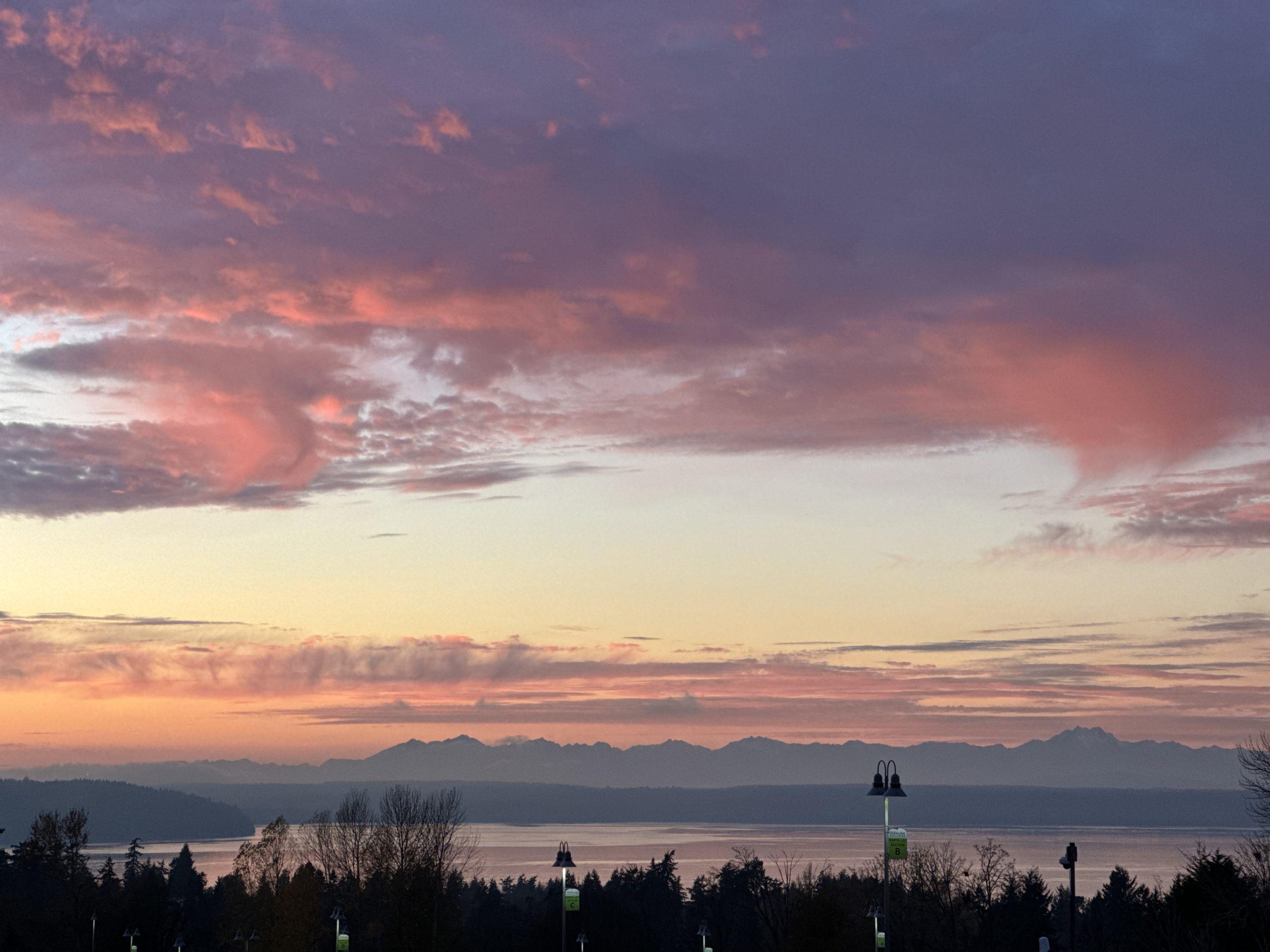 A sunset over the sound, with pink and purple clouds over shilouetted mountains over the water in the distance, and dark trees framing the bottom of the image.