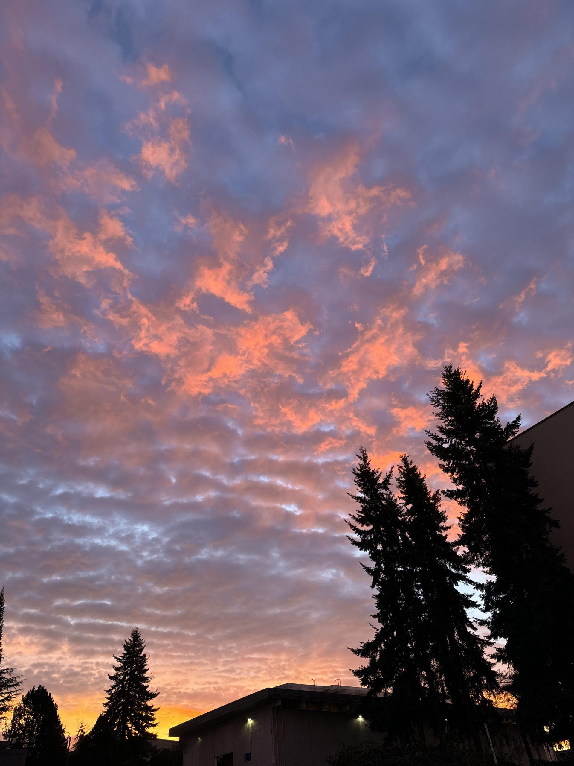 Pink cotton-candy clouds against a blue morrning sky, deepening to bright orange at the horizon, with dark trees silhouetted in the foreground.