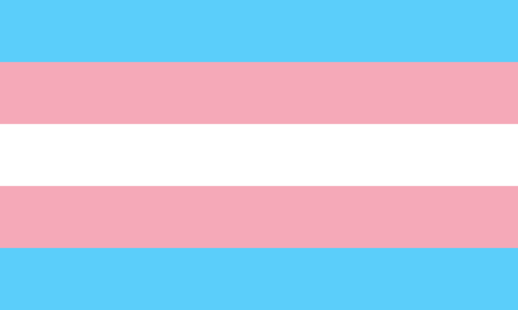 The transgender pride flag, with five horizontal stripes from top to bottom of light blue, light pink, white, light pink, and light blue.