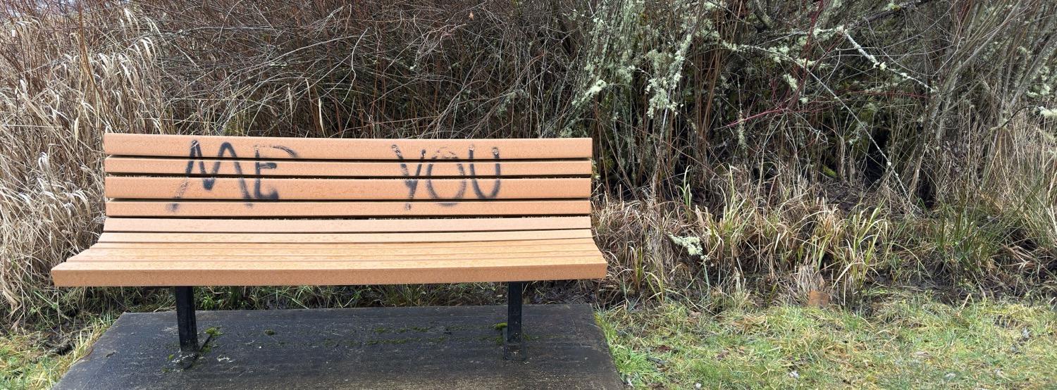 A wooden bench in front of some winter vegetation. Graffiti sprayed on the backrest of the bench says 'me' on the left side and 'you' on the right side.