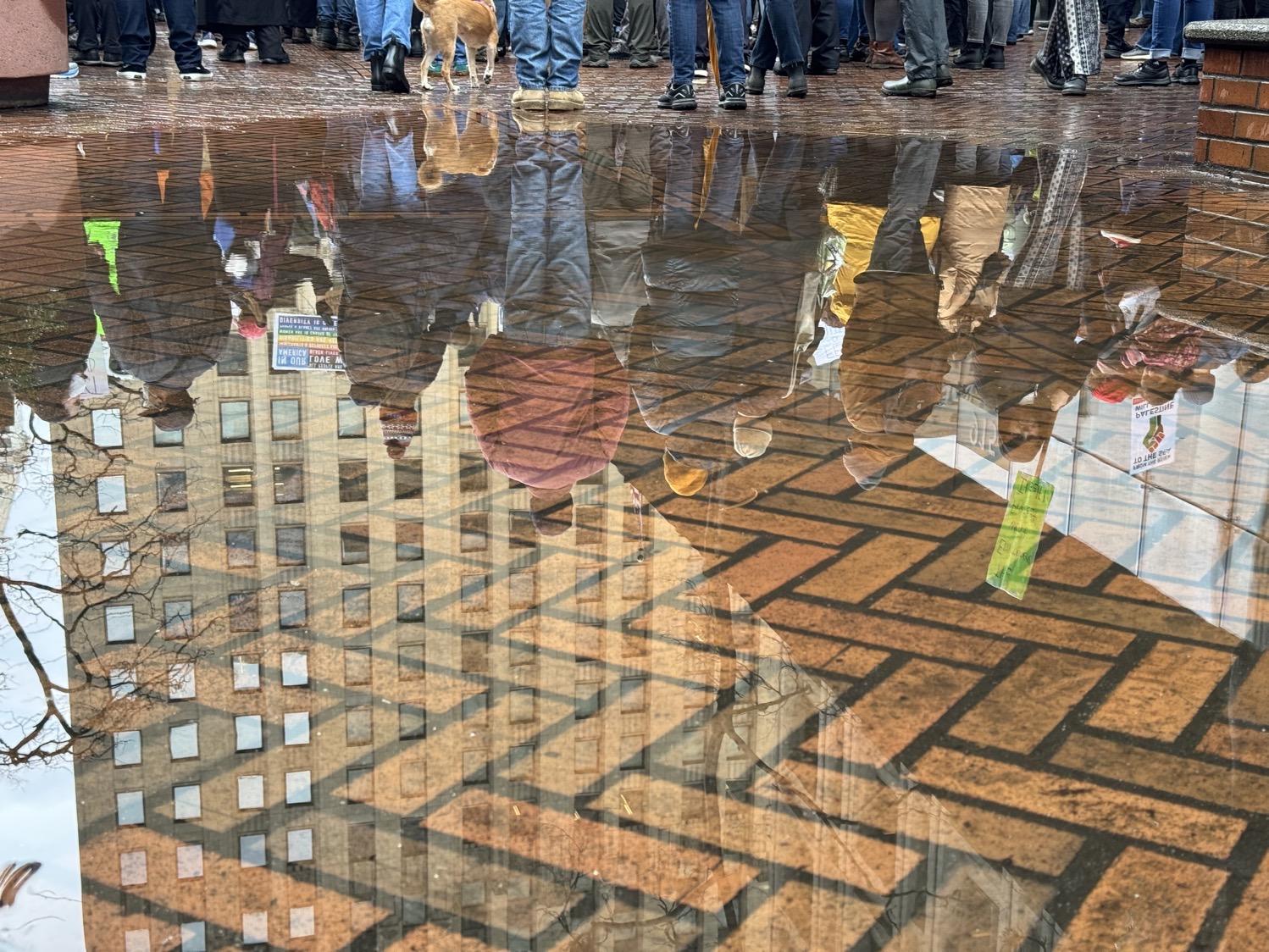 Protesters are seen reflected upside-down in a puddle on a herringbone pattern brick plaza.