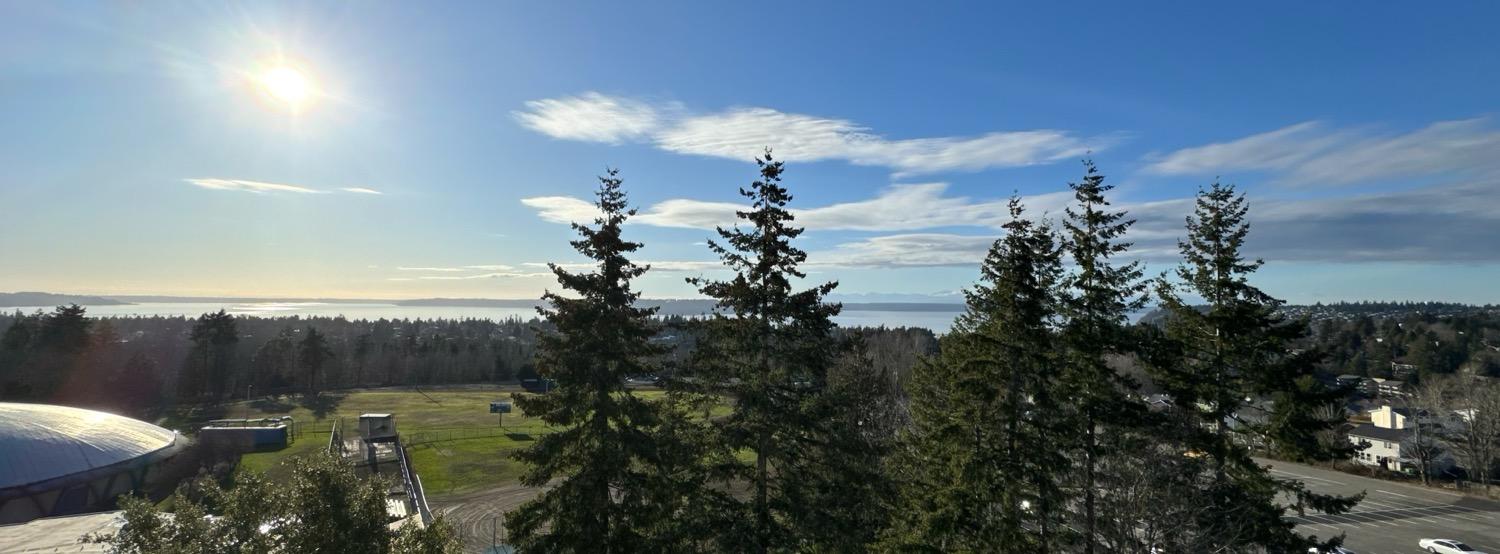 Panoramic view of trees and grass under a bright blue sunny sky with the Puget Sound and Olympic Mountains in the distance.