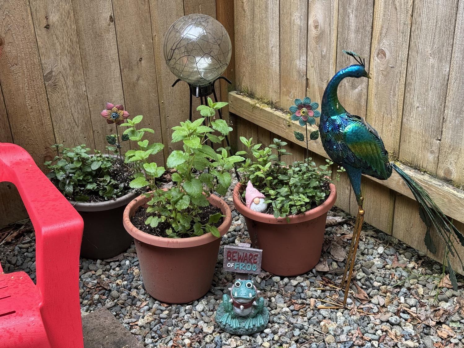 Potted herbs in front of a decorative glass ball, a metal peacock sculpure, and a small ornament of a fanged frog wearing a spiked collar sitting under a sign that says 'Beware of Frog'.