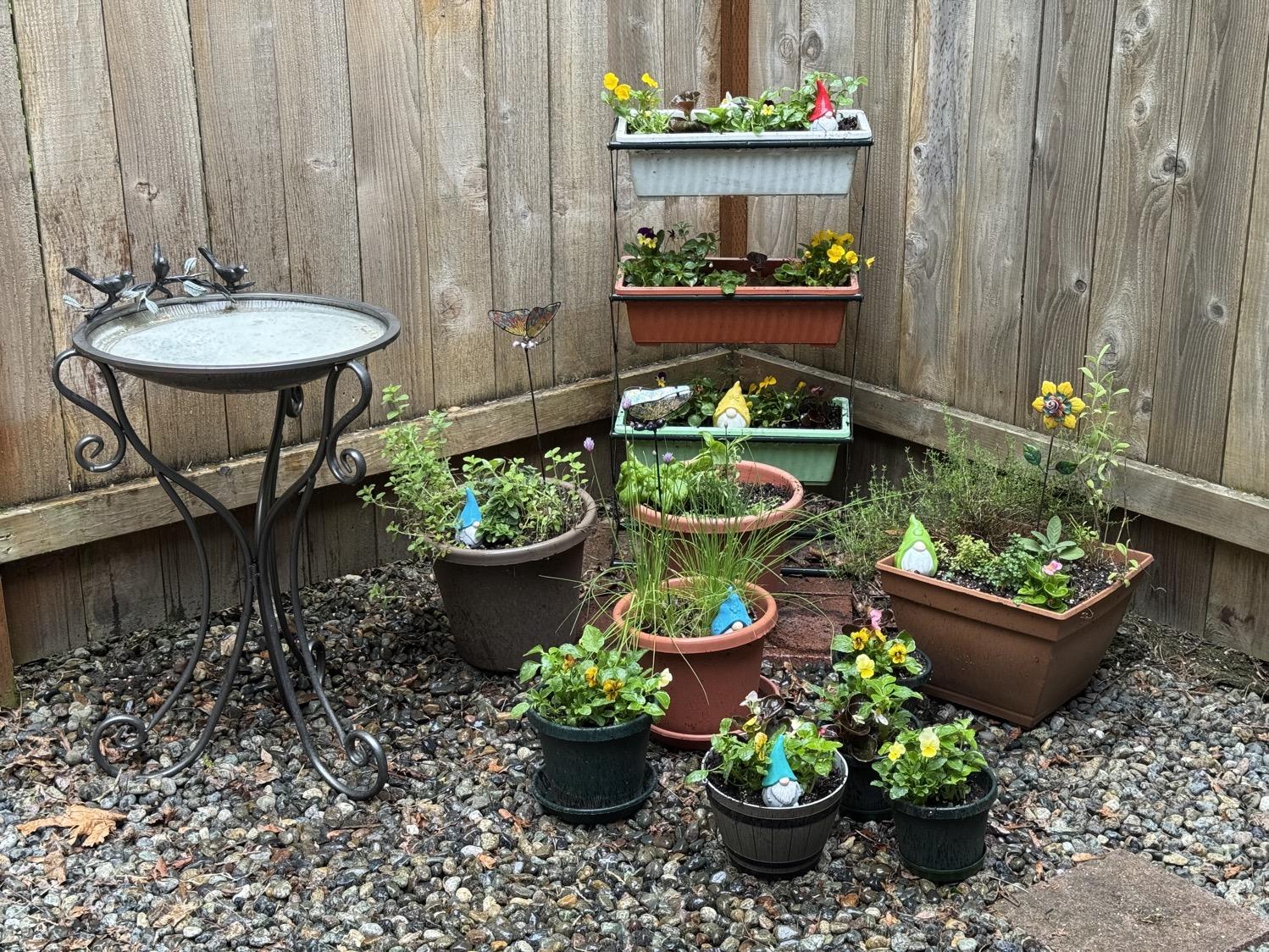 Planters with herbs and flowers, several with small decorative gnomes sitting in them, next to a metal birdbath.