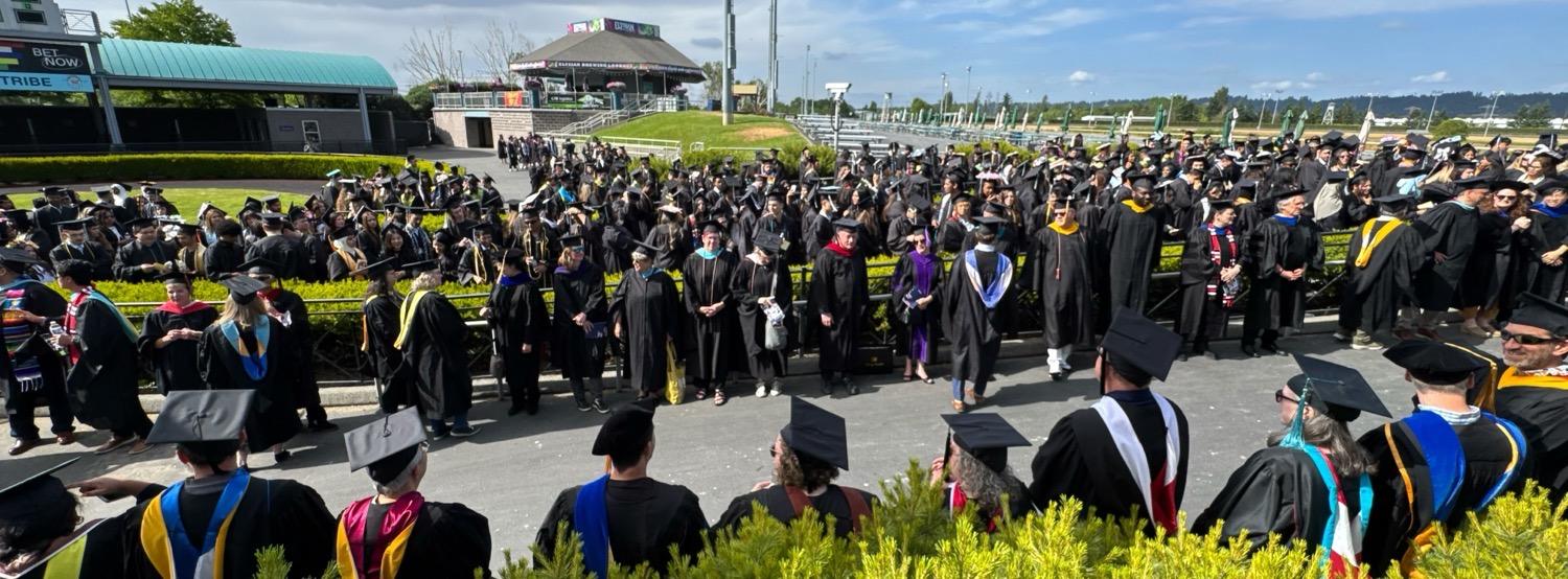 Wide shot of a lot of people wearing graduation robes and caps standing on paths between green hedges.