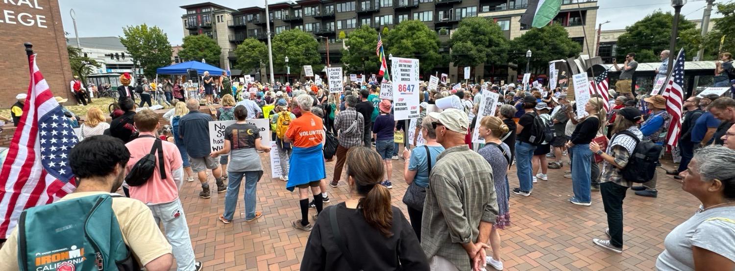 A crowd of people, many hoding protest signs and some holding U.S. flags, gathered in a brick plaza and watching people speak.