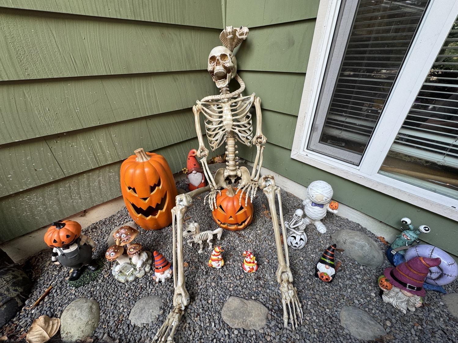Spooky season decorations outside our house, incouding a skeleton, jack-o-lanterns, and several Halloween themed gnomes.
