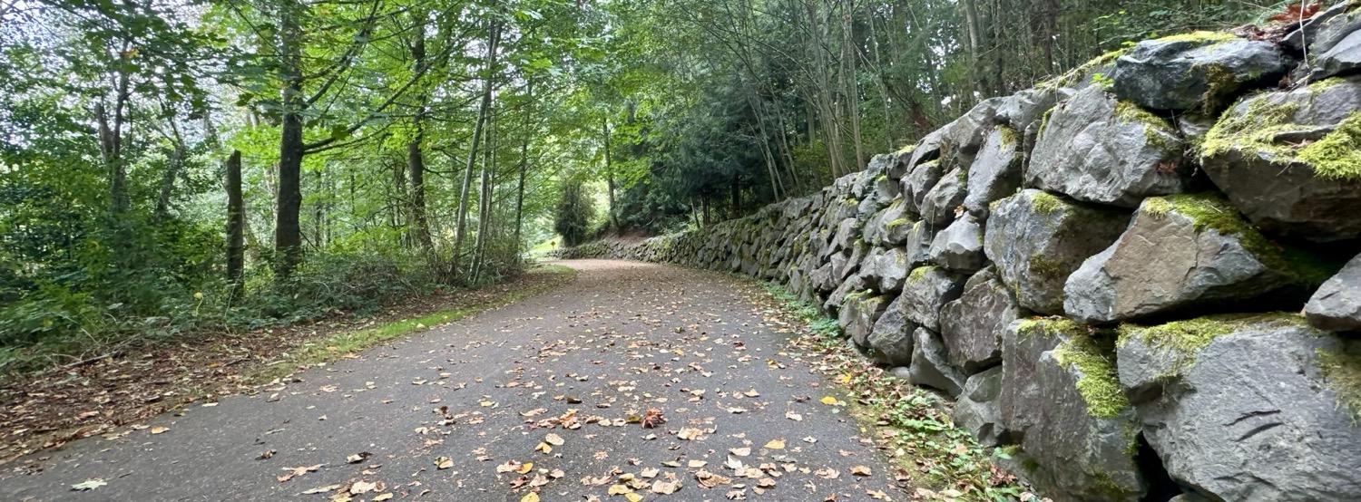 A wide shot of a walking path strewn with fall leaves, with a stone wall on the right side and green trees on either side.
