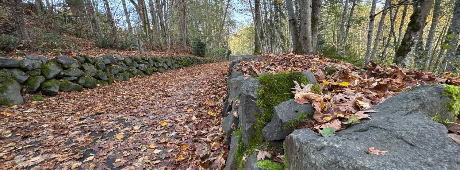A path bordered by low rock walls leads through trees, with every thing covered by fallen leaves.