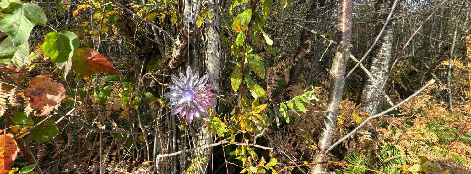 A clear, blue, and pink plastic multi-pointed star ornament hanging from a tree in the woods.