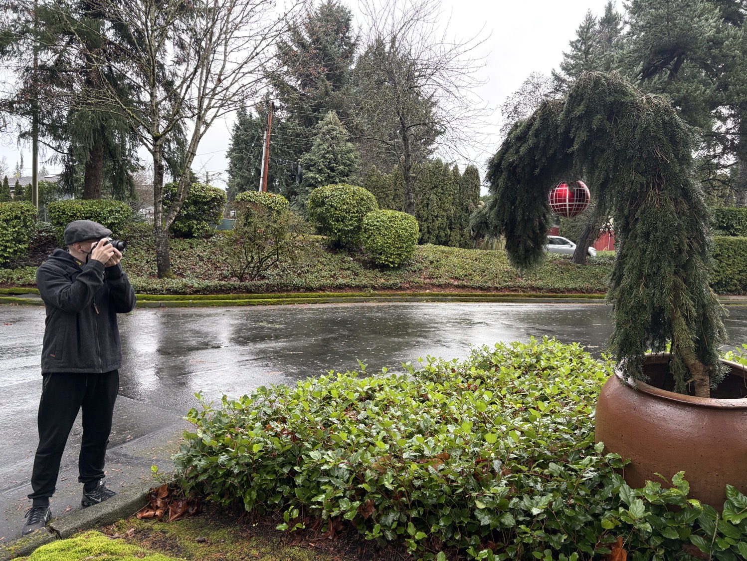 Me aiming my camera at an odd-looking tree in a planter; the tree is bowed over into an arch shape, and there is a large holiday bauble hanging from the top of the arch.