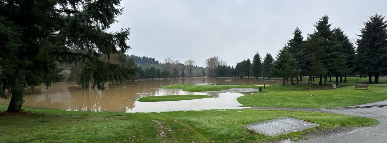IMG_5471.jpeg A golf course green partially covered with flood water.