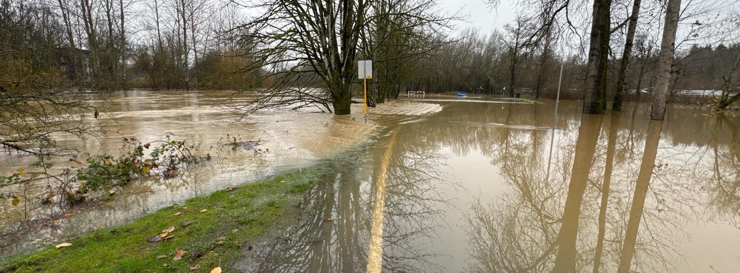 IMG_5478.jpeg Flood water flowing over a road, barely identifiable by a yellow stripe just visible under the water, from a park into a river.