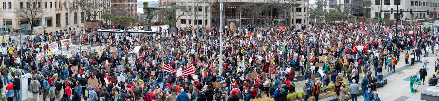 Panoramic view of a large crowd of protesters filling a city street and two building plazas.