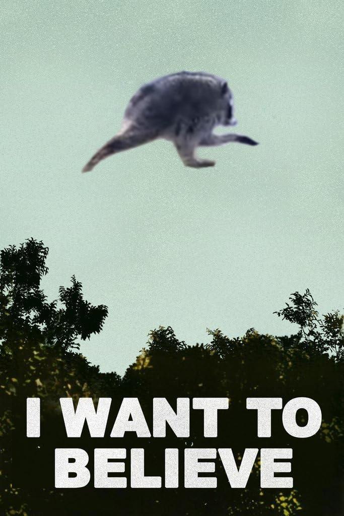 The classic 'I Want to Believe' poster, only with the UFO replaced with Jimothy.