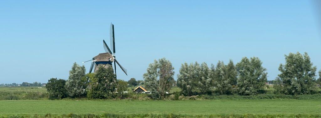 Panoramic shot of a traditional Dutch windmill rising over trees and green fields.
