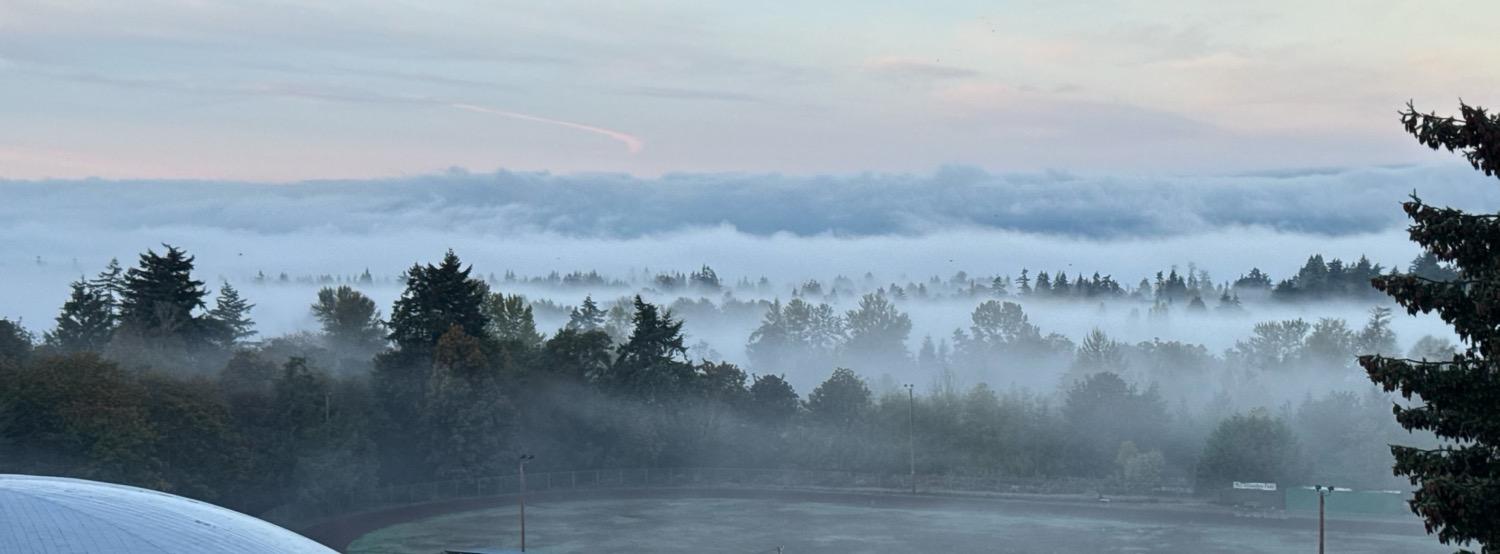 IMG_7279.jpeg A panoramic shot with fog banks settled along between successive rows of trees, with just the tops of the trees poking above the clouds, stretching off to large cloud banks in the distance under a light blue and slightly pink morning sky.